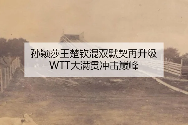 孙颖莎王楚钦混双默契再升级 WTT大满贯冲击巅峰